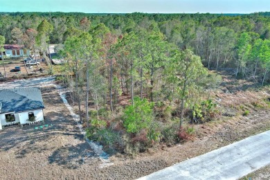 Lake Lot For Sale in Lehigh Acres, Florida