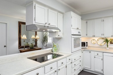 Total package deal here - This property features 2 TWO living - photo 6