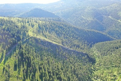 (private lake, pond, creek) Acreage For Sale in Drummond Montana