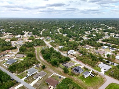 Build your dream home on this 0.27-acre vacant lot on Kiska Rd - photo 4