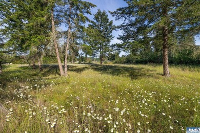 Marketing Remarks Build your dream home on this beautiful 3 - photo 33