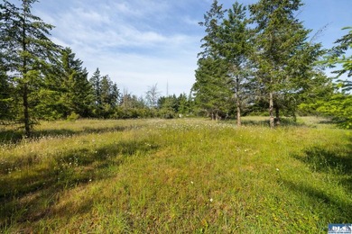 Marketing Remarks Build your dream home on this beautiful 3 - photo 34