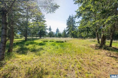 Marketing Remarks Build your dream home on this beautiful 3 - photo 35