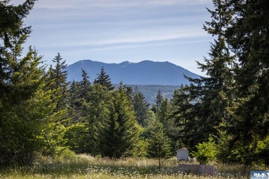 Marketing Remarks Build your dream home on this beautiful 3 - photo 37