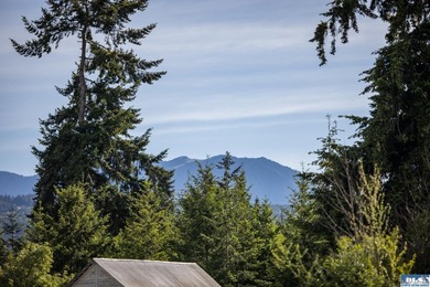 Marketing Remarks Build your dream home on this beautiful 3 - photo 40