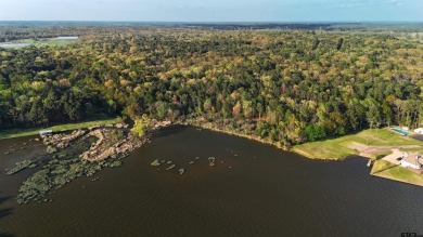 Lake Acreage For Sale in Mount Vernon, Texas