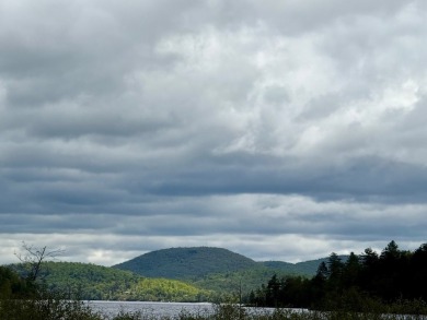 (private lake, pond, creek) Acreage For Sale in Piseco New York