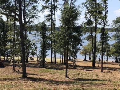 (private lake, pond, coastal) Acreage For Sale in Broaddus Texas