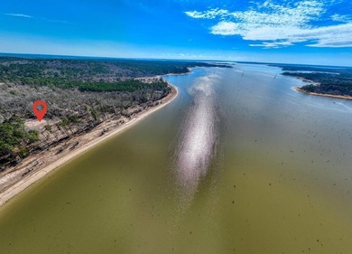 Exceptional 7-acre waterfront property on Lake Sam Rayburn - photo 2