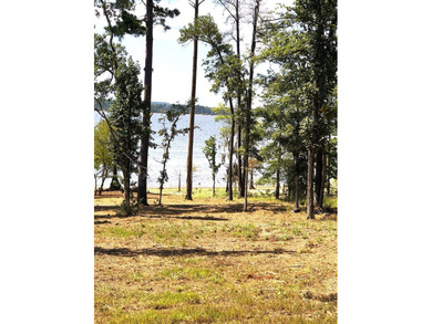 Exceptional 7-acre waterfront property on Lake Sam Rayburn - photo 3