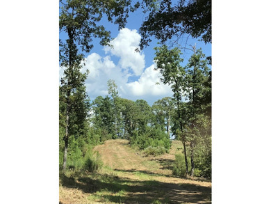 Exceptional 7-acre waterfront property on Lake Sam Rayburn - photo 4