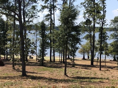 Exceptional 7-acre waterfront property on Lake Sam Rayburn - photo 6