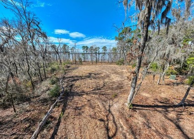 Exceptional 7-acre waterfront property on Lake Sam Rayburn - photo 7
