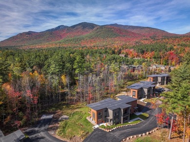 New Construction in this beautiful 12 Bowman Unit 2 ! Launch - photo 1