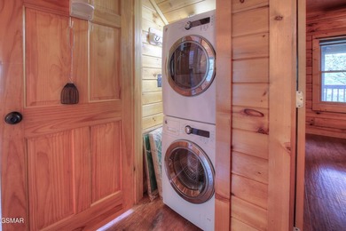 Exceptional Short-Term Rental Opportunity at Douglas Lake - photo 20