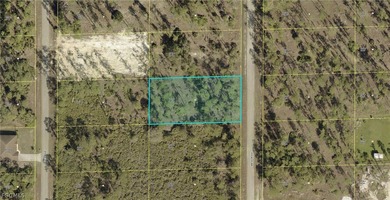 Lehigh Acres Area Lot For Sale in Lehigh Acres Florida