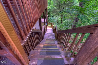 Exceptional Short-Term Rental Opportunity at Douglas Lake - photo 31