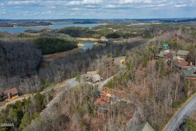 Exceptional Short-Term Rental Opportunity at Douglas Lake - photo 47