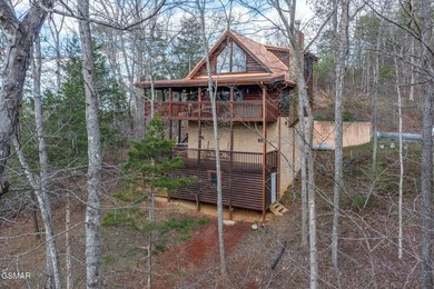 Exceptional Short-Term Rental Opportunity at Douglas Lake - photo 48