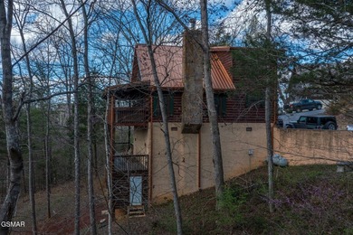 Exceptional Short-Term Rental Opportunity at Douglas Lake - photo 49