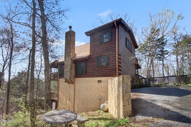Exceptional Short-Term Rental Opportunity at Douglas Lake - photo 50