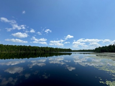 Lake Acreage Sale Pending in Mercer, Wisconsin