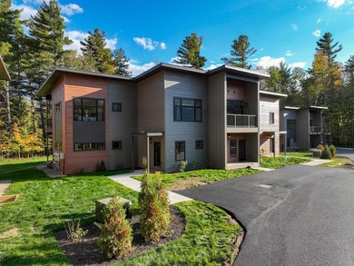 Additional listing photo 2