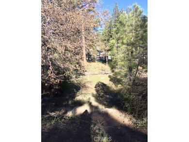 Big Bear Lake Lot For Sale in Big Bear Lake California