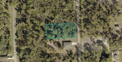 Lehigh Acres Area Lot Sale Pending in Lehigh Acres Florida