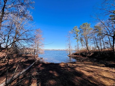 Toledo Bend Lake Lot For Sale in Milam Texas