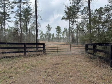 Lake Sam Rayburn  Acreage For Sale in Pineland Texas
