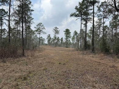90 Acres located in Pineland, TX on beautiful Lake Sam Rayburn! - photo 2