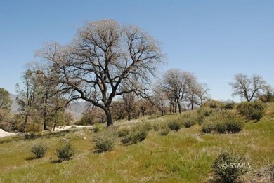 Big Acreage offers Big Opportunity! Very Unique and Diverse - photo 2