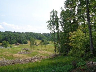 LOOKING FOR THAT UNRESTRICTED SMALL FARM OR JUST PRIVATE LAND TO - photo 3