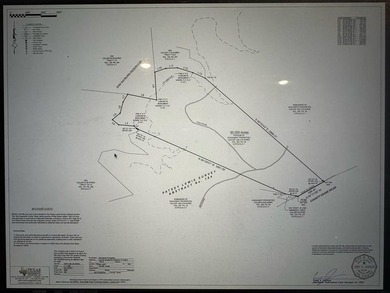 90 Acres located in Pineland, TX on beautiful Lake Sam Rayburn! - photo 3