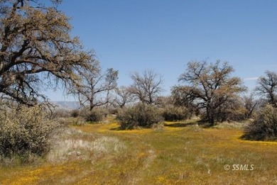 Big Acreage offers Big Opportunity! Very Unique and Diverse - photo 3