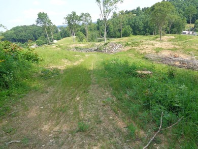 LOOKING FOR THAT UNRESTRICTED SMALL FARM OR JUST PRIVATE LAND TO - photo 4