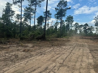 90 Acres located in Pineland, TX on beautiful Lake Sam Rayburn! - photo 4