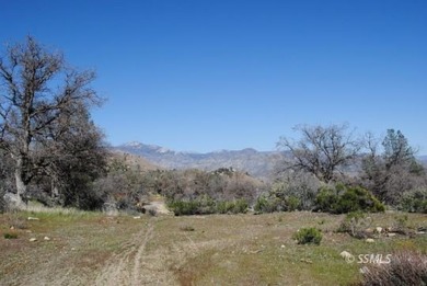Big Acreage offers Big Opportunity! Very Unique and Diverse - photo 4