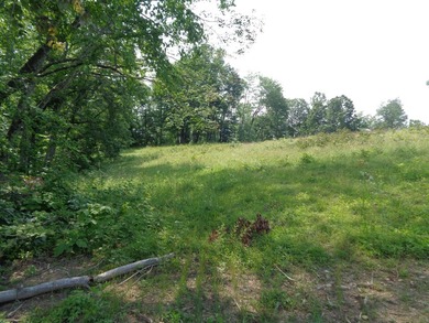 LOOKING FOR THAT UNRESTRICTED SMALL FARM OR JUST PRIVATE LAND TO - photo 5