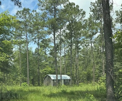 90 Acres located in Pineland, TX on beautiful Lake Sam Rayburn! - photo 5