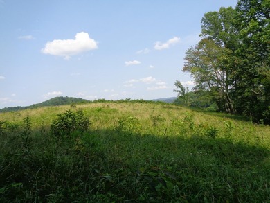 LOOKING FOR THAT UNRESTRICTED SMALL FARM OR JUST PRIVATE LAND TO - photo 6