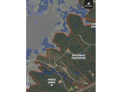 90 Acres located in Pineland, TX on beautiful Lake Sam Rayburn! - photo 6