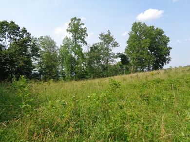 LOOKING FOR THAT UNRESTRICTED SMALL FARM OR JUST PRIVATE LAND TO - photo 7