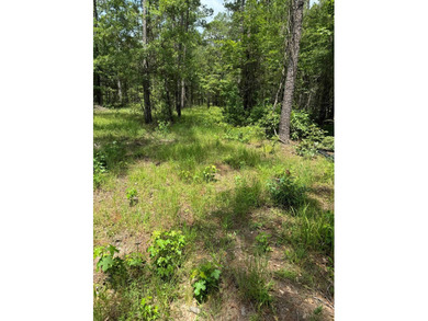90 Acres located in Pineland, TX on beautiful Lake Sam Rayburn! - photo 7