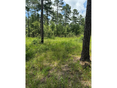 90 Acres located in Pineland, TX on beautiful Lake Sam Rayburn! - photo 8