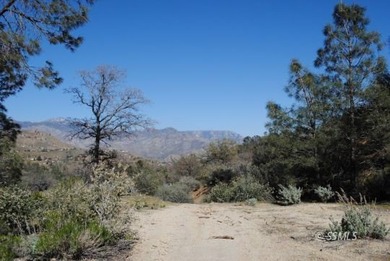 Big Acreage offers Big Opportunity! Very Unique and Diverse - photo 8
