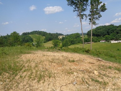 LOOKING FOR THAT UNRESTRICTED SMALL FARM OR JUST PRIVATE LAND TO - photo 9