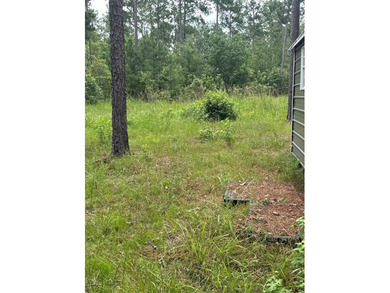 90 Acres located in Pineland, TX on beautiful Lake Sam Rayburn! - photo 9
