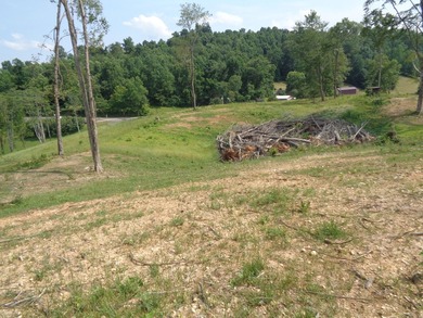 LOOKING FOR THAT UNRESTRICTED SMALL FARM OR JUST PRIVATE LAND TO - photo 10
